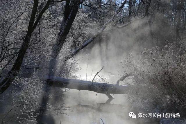 3D滚动球